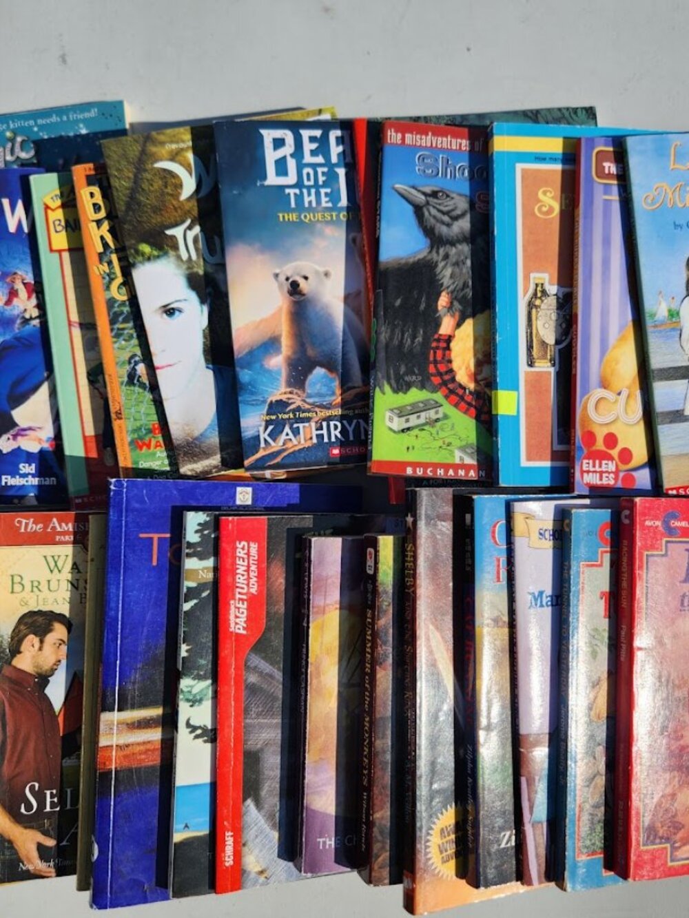 4 Book Bundle Lot Set Chapter Books Young Adult Literature Novels Mystery Books - Picture 12 of 16